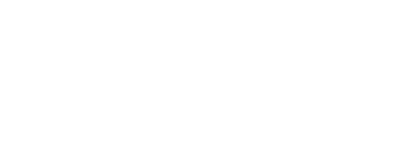 Logotipo POINT